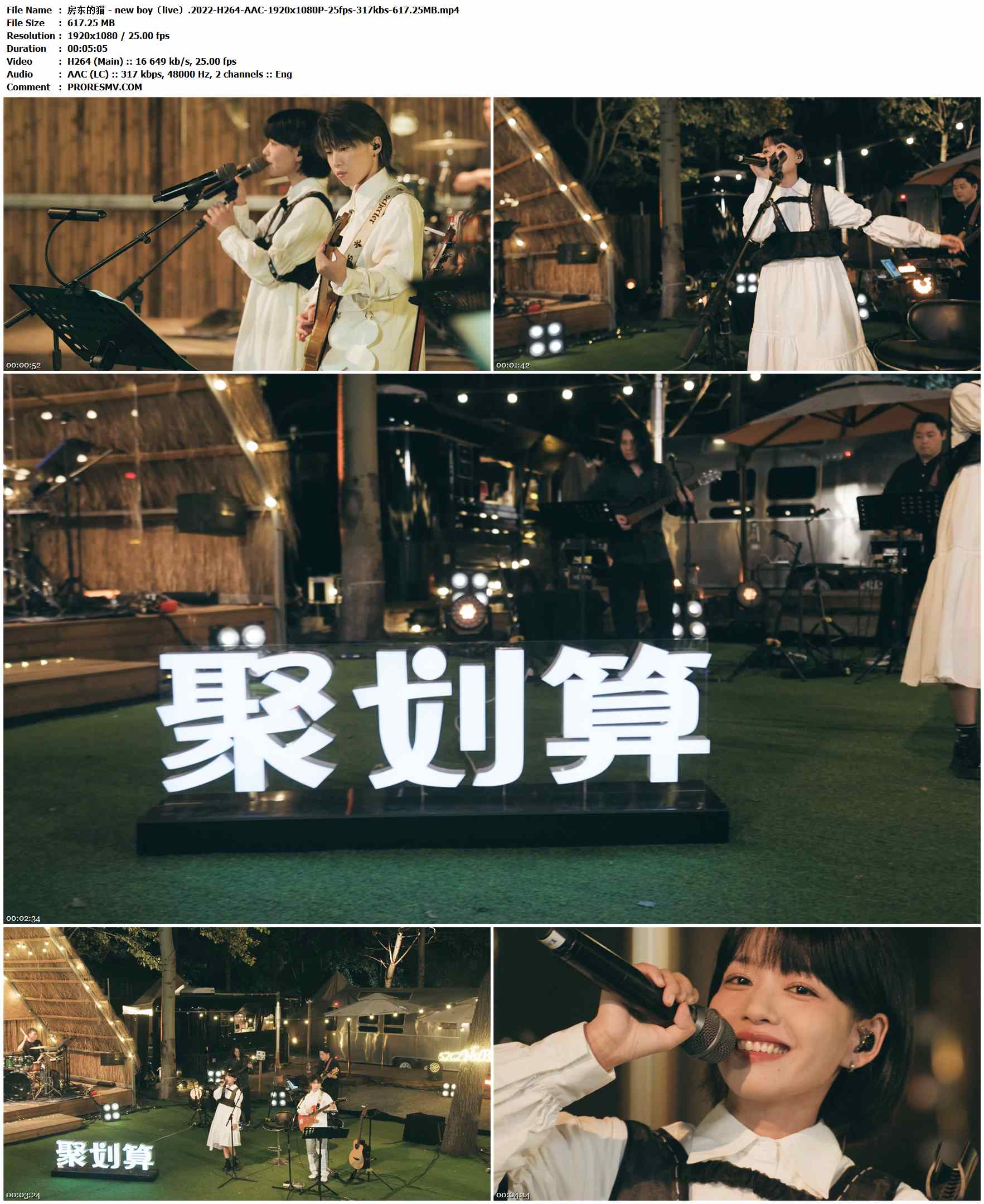房东的猫 - new boy（live）.2022-H264-AAC-1920x1080P-25fps-317kbs-617.25MB官方MV_高清MV